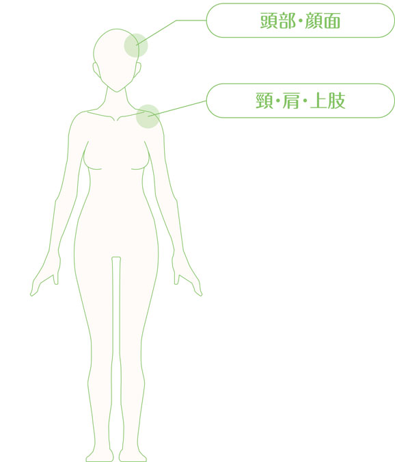 頭部・顔面、頸・肩・上肢