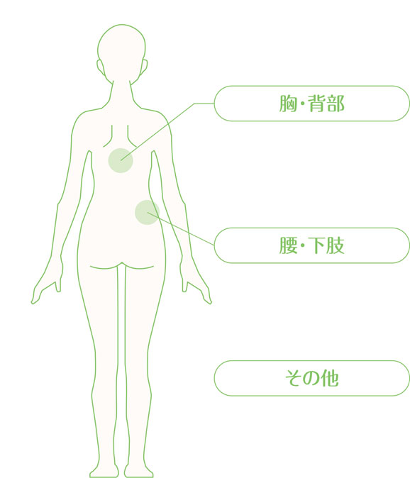 胸・背部、腰・下肢、その他